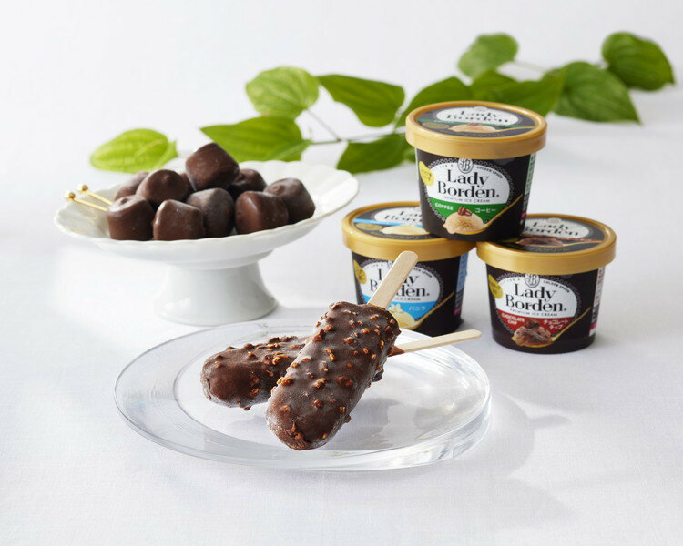 レディーボーデン バラエティセット スイーツ デザート ギフト 産直 ご当地グルメ 熨斗 贈り物 新生活 お祝い お取り寄せ のし対応 (代引不可)【送料無料】