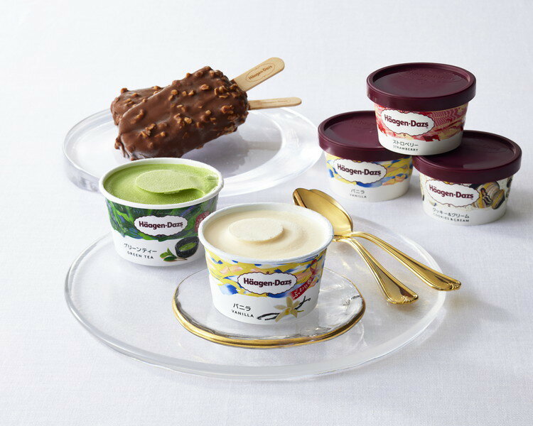 ハーゲンダッツ バラエティーセット スイーツ デザート ギフト 産直 ご当地グルメ 熨斗 贈り物 新生活 お祝い お取り寄せ のし対応 (代引不可)【送料無料】