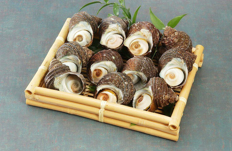 父の日 お中元 徳島 天然伊勢海老と天然サザエ詰合せ ギフト 産直 ご当地グルメ 熨...