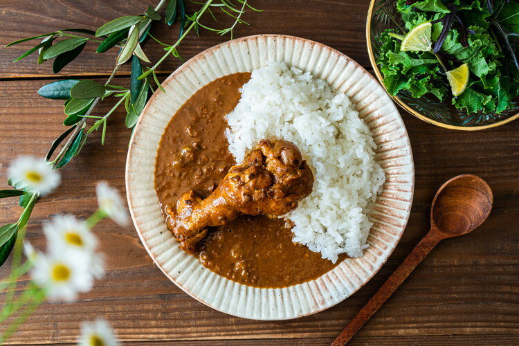 徳島 AWAODORI LAB 骨付きカレー ガパオ バターチキンカレー9個セット カレー ギフト 産直 ご当地グルメ 熨斗 贈り物 新生活 お祝い お取り寄せ のし対応 (代引不可)【送料無料】