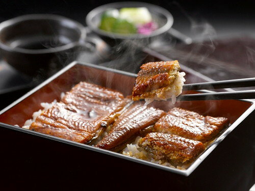 丑の日 うなぎ割烹 一愼 うなぎ蒲焼セット 55g×9 土用の丑の日 鰻 蒲焼 お中元 夏ギフト お取り寄せグルメ 熨斗 のし ギフト プレゼント(代引不可)【送料無料】 rcmdva-14652783 リコメン堂ホームライフ館 サンプル画像2