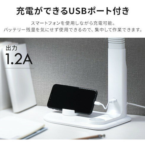 IRIS 535775 LEDǥ饤 LDL-501RNW IRIS LDL501RNW     ŵ(Բ)̵