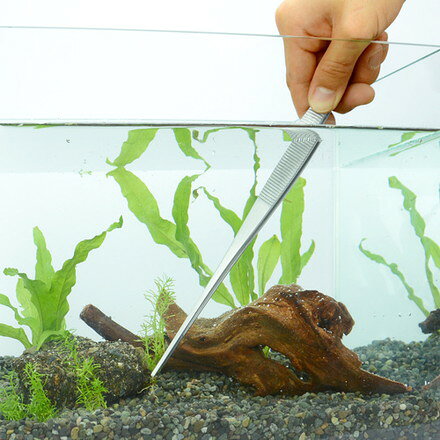 リコメン堂ホームライフ館のアネックス ステンレスピンセット ロング300mm直 アネックスツール 手作業工具 プライヤー ニッパ ピンセット ピンセット(代引不可)｜アングル2