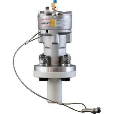 エクセン リレーノッカー バイブタイプ RKV40PB RKV40PB 電動・油圧・空圧工具 小型加工機械・電熱器具 ノッカー・バイブレーター(代引不可)【送料無料】