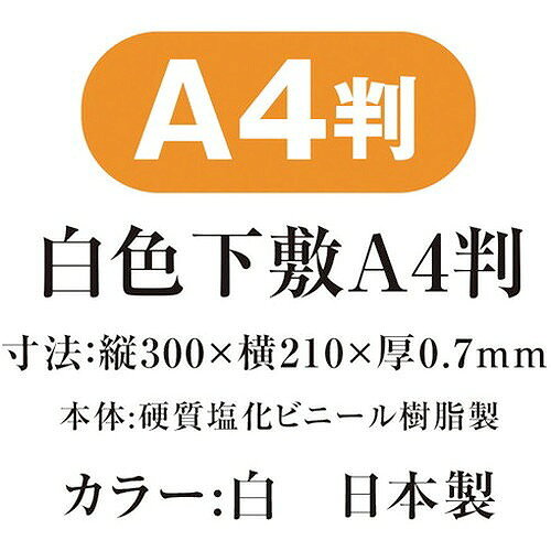 リコメン堂ホームライフ館の共栄プラスチック 白色下敷 A4 SIJA4W オフィス・住設用品 文房具 ノート(代引不可)｜アングル2