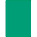 共栄プラスチック 色透明下敷 A4 グリーン NO.1377G オフィス・住設用品 文房具 ノート(代引不可)