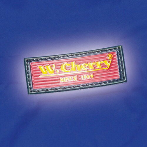 （同梱不可） アイトス レインスーツ(男女兼用)(AS-5120) マスタード 3L 56208 視界良好セーフティーフードレイン