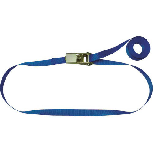 TESAC ラッシングベルト(ベルト荷締機)ラチェットバックル式エンドレスタイプ R05N060000A 荷役用品 吊りクランプ スリング 荷締機 荷締機(代引不可)