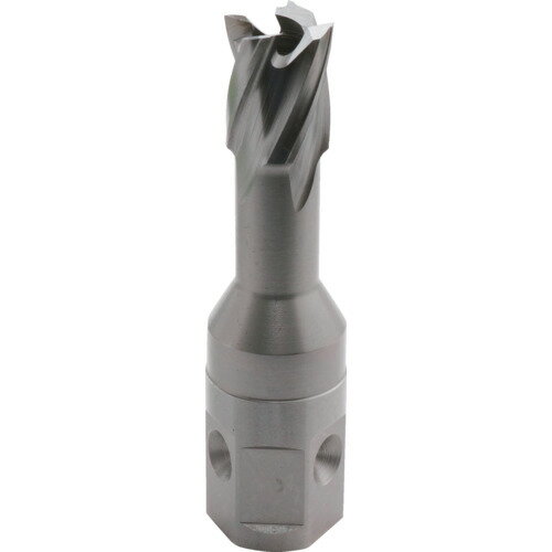 育良 LBクイックカッターISK-2QC140(ハイス刃)(54604) ISK2QC140 電動 油圧 空圧工具 電動工具 磁気ボ..