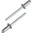エビ ブラインドリベット(ステンレス/スティール製) 4-3(1000本入) 箱入 NSS43A 金物 建築資材 ファスニングツール ブラインドリベット(代引不...