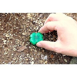 アース ガーデン ハイパーアリの巣コロリ 46017 環境改善用品 害虫 害獣駆除用品 ...