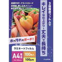 フジテックス ラミネートフィルム100ミクロン A4 100枚入り 1117033004 オフィス 住設用品 オフィス備品 ラミネーター(代引不可)