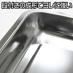 アストロプロダクツ ステンレストレー 4L 2003000006834 研究用品 ボトル 容器 バ...