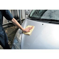 �����ȥ��ץ������� PVA Ķ�ۿ奿���� S 2003000004885 ���ȹ��� ������������ ��������(����Բ�)