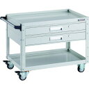 TRUSCO トラスコ イーグルワゴン 750X500 引出付 ウレタン車輪 W色 EGW672V2UW(代引不可)【送料無料】