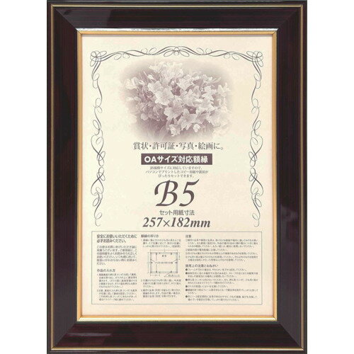 大額 額縁 賞状額 ネオ光輝 OA-B5 0142 501443 オフィス 住設用品 オフィス備品 掲示板(代引不可)