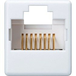 SANWA RJ-45中継アダプタ(カテゴリ6A UTP) ADTEX6AUTP オフィス 住設用品 OA用品 ...