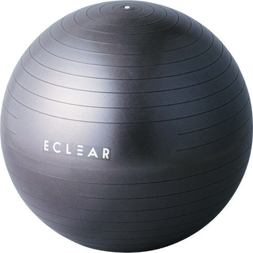 ELECOM バランスボール/55cm HCFBB55BK 清掃 衛生用品 労働衛生用品 健康促進用品(代引不可)