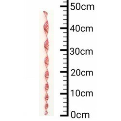 ��¢ ��Ļ�ȥ�͡��� �� (ͭ)��ƣ��¢��Ź �Ķ��������� ���� ���ö������ �ɽ����� T020(����Բ�)