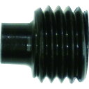 TRUSCO トラスコ RHR2用止メネジ RHR209(代引不可)