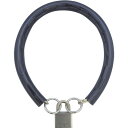 SOL チェーンパドロック シリンダー錠タイプ(オールステン) 600mm 359030S(代引不可)【送料無料】