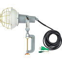 日動 レフ球投光器 100V 300W 5m アース付 AFE305100V(代引不可)【送料無料】