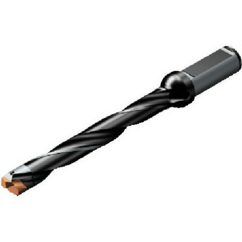 サンドビック コロドリル870ホンタイ(446) 870130012L168(代引不可)【送料無料】