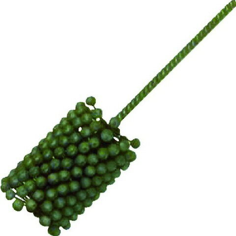 YUKO �ե�å����ۡ���SC600 BC-41.0 SC600 BC41.0(����Բ�)������̵����