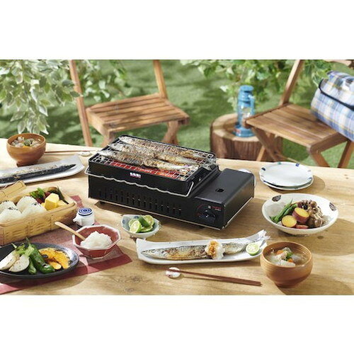 岩谷 炉端焼器シリーズ専用焼網(2枚入リ) C...の紹介画像2