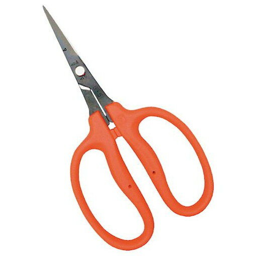 【商品スペック】特長●刃に凹加工しているので、シブが付いても刃の開閉はスムーズです。●エラストマー樹脂ハンドルで手になじみやすい。用途●ぶどうの摘粒作業、まびき作業、ぶどう、野菜の収穫、芽切作業、花の手入れ、ガーデニング・一般菜園に。仕様●...