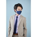 IRIS 289114 DAILY FIT MASK 立体マスク フツウサイズ 5枚入 ネイビー IRIS RKD5MN 保護具 マスク 耳栓 一般作業用マスク(代引不可)