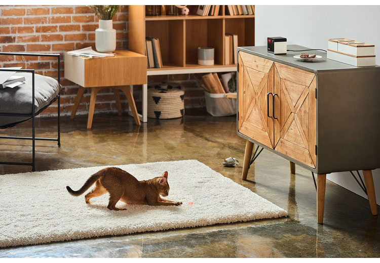 PETCUBE Play 2 ペットカメラ 見守りカメラ レーザートイ搭載 犬 猫 小型 高画質 双方向音声 会話 マイク 録画 暗所 夜 広角 ズーム いたずら防止 声かけ フルHD Alexa 通知 AI wifi アプリ【送料無料】 rcmdva-14674049 リコメン堂ホームライフ館 サンプル画像3