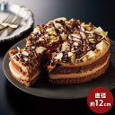 ベルギー チョコレート ケーキ 4号 産地直送 産直 食品 食べ物 お取り寄せ グルメ ご当地グルメ ケーキ 洋菓子 チョコ(代引不可)【送料無料】