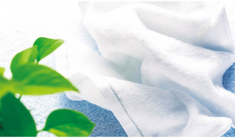 �������� ���եȹ�˼ ���ꥨ������������&���祤���å� HAJ-15 �����ʻ��� ʸ˼�� ��� ������ ���軨�� �ݽ������� ���������� ����� ����