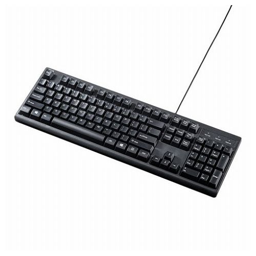 サンワサプライ 英語PS/2キーボード SKB-E5PBK(代引不可)【送料無料】 サンワサプライ 英語PS/2キーボード SKB-E5PBK(代引不可)【送料無料】