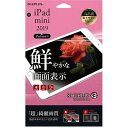 LEPLUS iPad mini 2019/iPad mini 4 یtB SHIELDEG HIGH SPEC FILM  LP-IPM5FLGFL(s)