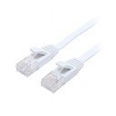 MCO CAT.6A LANケーブル フラット ホワイト 15m C6A-F15WH パソコン パソコン周辺機器 LANケーブル(代引不可)【メール便配送】【送料無料】