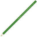トンボ鉛筆 色鉛筆 1500単色 きみどり 1ダース 12本 Tombow-1500-06 雑貨(代引不可)【メール便配送】【送料無料】