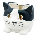 ミニかやり ハチワレ 10.6×9.7×9.9cm(スコティッシュ10.2×9.6×8.5cm) B1009537(代引不可)