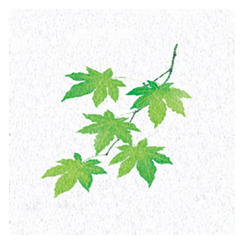 【商品説明】やわらかく透き通る、四季の絵柄をあしらったシートです。すっきりとお料理になじみ「かけてよし」「敷いてよし」四季の風情を演出します。☆PEフィルムで両面ラミネートしていますので、絵柄の上に直接お料理を盛り付けることができます。☆薄口のレーヨン紙を使用し、優しい透過作用が生まれました。【仕様】サイズ:約14×14cm重量:190g生産国:日本保証期間:初期不良対応【代引きについて】こちらの商品は、代引きでの出荷は受け付けておりません。【送料について】北海道、沖縄、離島は送料を頂きます。