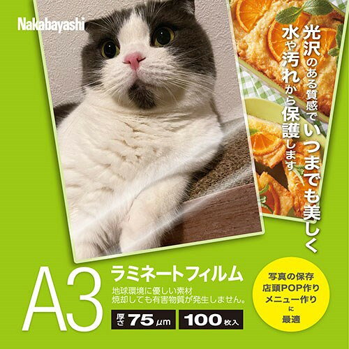 リコメン堂ホームライフ館のナカバヤシ ラミネートフィルム厚さ75μmA3サイズ100枚入り ランニングコストが抑えられる LPR-A3E2-75(代引不可)【送料無料】｜アングル3