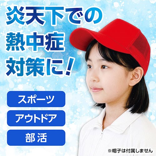 ARTEC ヘッドクールパッド ブルー 凍らせて繰り返し使用できる 帽子の中に入れてひ...