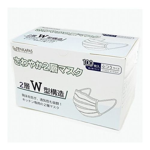 TENKAPAS 2層マスク 5000枚 (1箱100枚入×50箱) レギュラーサイズ mask07(代引不可)【送料無料】