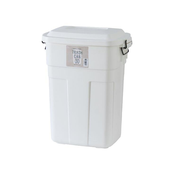 トラッシュカン 30L ダストボックス ゴミ箱 ごみ箱 屋外 屋内 スリム リビング シンプル 蓋つき フタ キッチン 生ゴミ オムツ(代引不可)【送料無料】 [2]