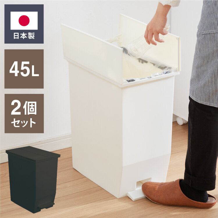 ゴミ箱 ごみ箱 ワンタッチ 2個セット おしゃれ キッチン 45l 45リットル 幅27 奥行42.5 高さ48 分別 フタ付き ダストボックス ペダル式 北欧 シンプル 一人暮らし 抗菌 防汚 省スペース(代引不可)【送料無料】