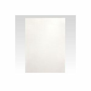 Boards - アルテ カラーボード A2 ホワイト 1 枚 BP-5CB-A2-WH 文房具 オフィス 用品