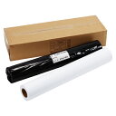 アジア原紙 大判インクジェット用紙 普通紙 2本入 1 箱 IJPR-6145N 文房具 オフィス 用品【送料無料】