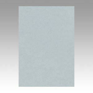 文運堂 色画用紙 ニューカラー 8切 はいいろ 1 束 8NCR-240 文房具 オフィス 用品