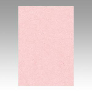 文運堂 色画用紙 ニューカラー 8切 うすもも 1 束 8NCR-102 文房具 オフィス 用品