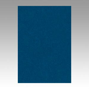 文運堂 色画用紙 ニューカラー 8切 あいいろ 1 束 8NCR-320 文房具 オフィス 用品